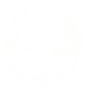 Logo DOOL Blanco